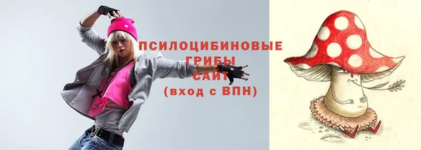 ALPHA PVP Козельск