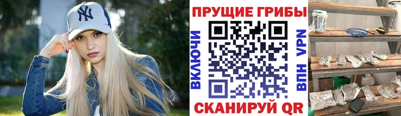 Галлюциногенные грибы мухоморы  Купить где  Кашира 